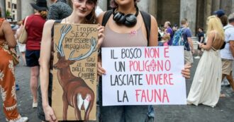 Copertina di Ddl Caccia, null’altro se non una marchetta al mondo venatorio