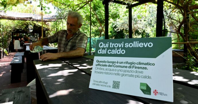 Tra depaving  e microforeste,   attenzione  al greenwashing