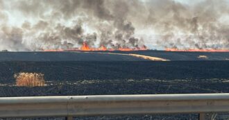 Copertina di La “guerra della paglia” nel Foggiano: escalation di incendi nei campi. “I clan decidono chi lavora e le condizioni”