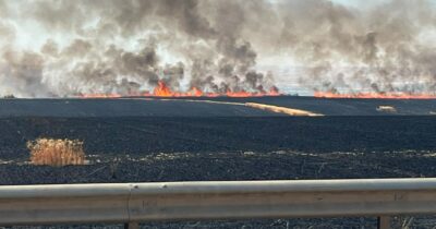 Copertina di La “guerra della paglia” nel Foggiano: escalation di incendi nei campi. “I clan decidono chi lavora e le condizioni”