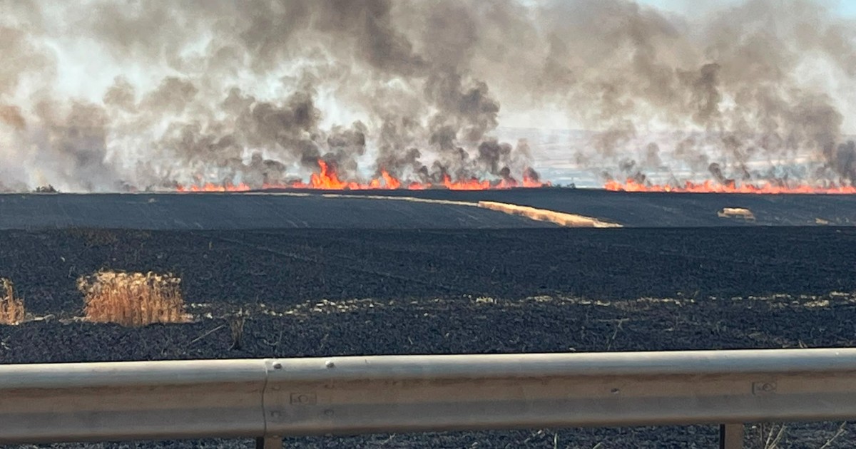 la guerra della paglia nel foggiano escalation di incendi nei campi i clan decidono chi lavora e le condizioni da Ilfattoquotidiano.it la guerra della paglia nel foggiano escalation di incendi nei campi i clan decidono chi lavora e le condizioni
