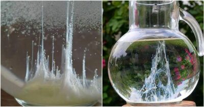 Copertina di Il rito della Barca di San Pietro: come funziona l’uovo che “prevede” il futuro e perché dietro a questa tradizione c’è una spiegazione fisica precisa