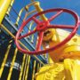 Copertina di Europa in cerca di gas, gli esperti:  “Ora rinviare lo stop al gnl russo”
