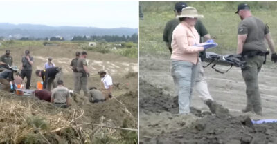 Copertina di 117 cani morti sono stati trovati vicino a un rifugio per animali nella California: “Le carcasse presentavano segni compatibili con colpi d’arma da fuoco”