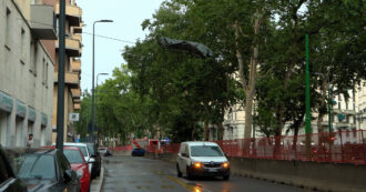 Copertina di Divanetto sui fili del bus, tendoni sradicati e alberi caduti: le immagini del forte temporale che ha colpito Milano