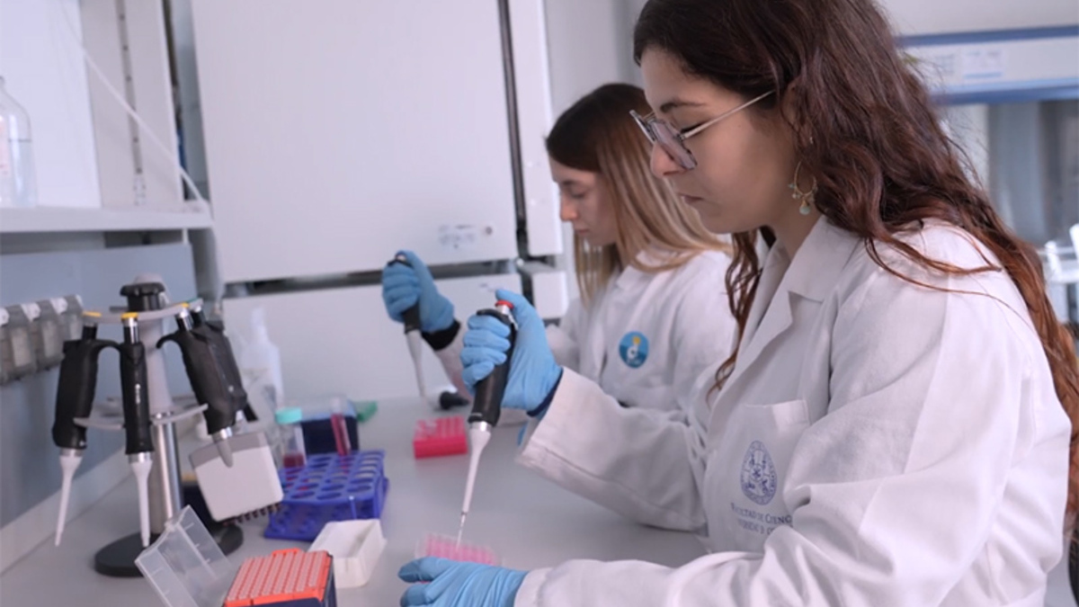 cancro oltre 1 milione di euro per i robot biologici batteri progettati per viaggiare nel corpo umano e scovare i tumori da Ilfattoquotidiano.it cancro oltre 1 milione di euro per i robot biologici batteri progettati per viaggiare nel corpo umano e scovare i tumori