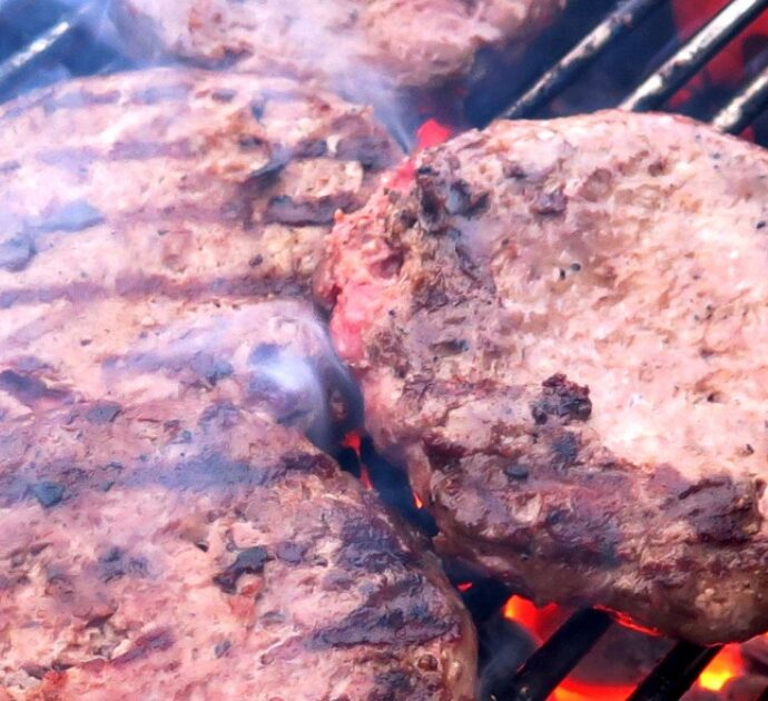 “Ho mangiato due hamburger e in uno c’era una setola della spazzola per pulire la griglia”: Noah, 17 anni, operato d’urgenza dopo la perforazione dell’intestino