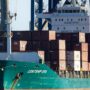 Copertina di Dogane: il Tar dice sì a svelare l’export di armi, ma non quali