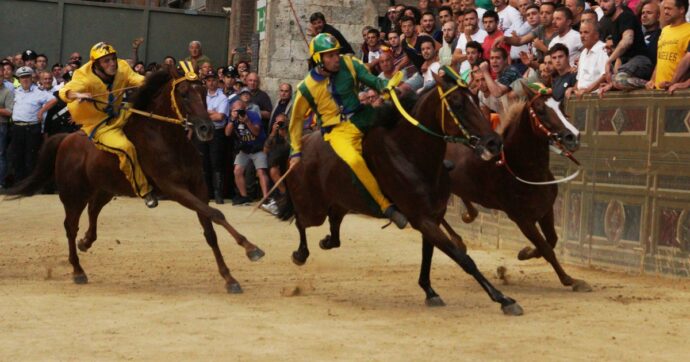 Palio di Siena 2026, oggi la Carriera della Madonna di Provenzano: c’è l’incognita meteo | Orario e dove vederlo in tv