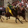 Copertina di Palio di Siena 2026, oggi la Carriera della Madonna di Provenzano: c’è l’incognita meteo | Orario e dove vederlo in tv