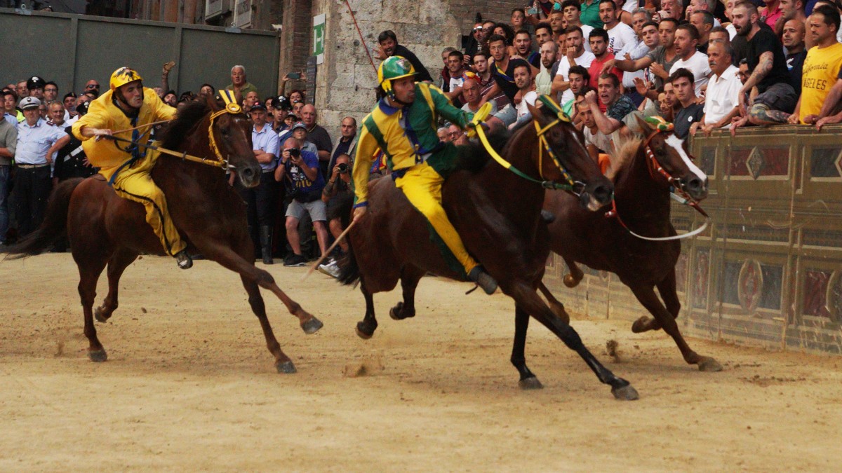 palio di siena 2026 oggi la carriera della madonna di provenzano c8217232 l8217incognita meteo orario e dove vederlo in tv da Ilfattoquotidiano.it palio di siena 2026 oggi la carriera della madonna di provenzano c8217232 l8217incognita meteo orario e dove vederlo in tv