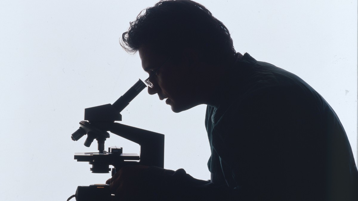 malattie rare 30 milioni per trasformare la speranza in terapia la ricerca europea guidata da telethon accende nuove possibilit224 da Ilfattoquotidiano.it malattie rare 30 milioni per trasformare la speranza in terapia la ricerca europea guidata da telethon accende nuove possibilit224