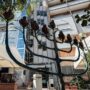 Copertina di Rubate 80 fiale di fentanyl dall’ospedale Israelitico di Roma, riunione d’urgenza a Palazzo Chigi: “Forte allarme”