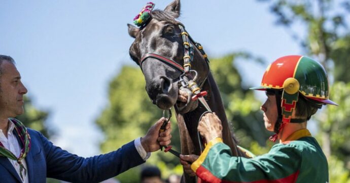 Al Palio di Siena trionfa la contrada dell’Aquila dopo 34 anni: l’ultima vittoria nel 1992