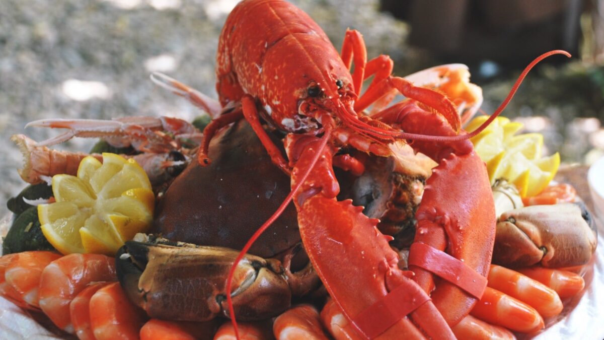 “L’aragosta sa di terra”: si lamentano del piatto, rifiutano lo sconto e lasciano il ristorante senza pagare il conto