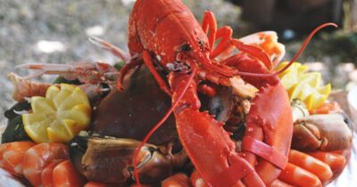 Copertina di “L’aragosta sa di terra”: si lamentano del piatto, rifiutano lo sconto e lasciano il ristorante senza pagare il conto