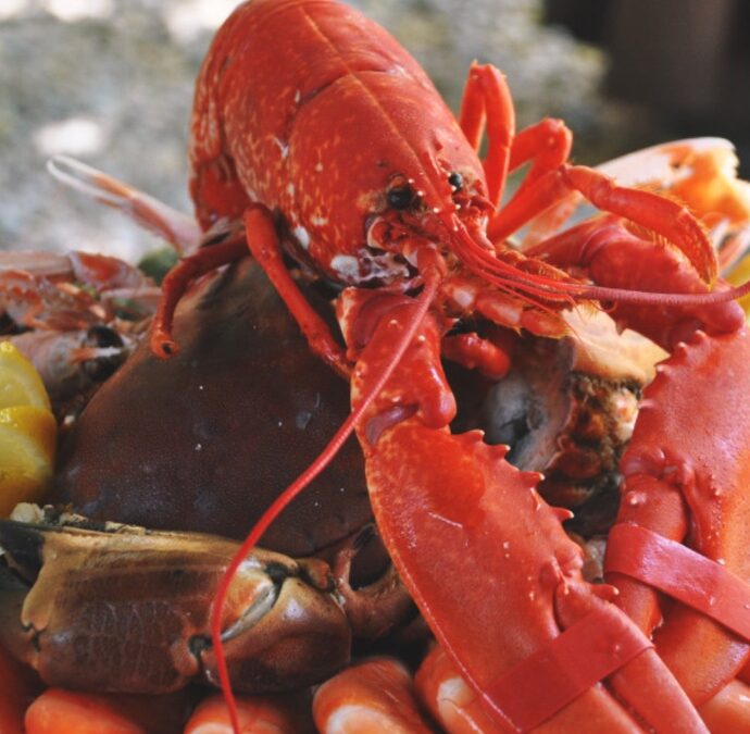 “L’aragosta sa di terra”: si lamentano del piatto, rifiutano lo sconto e lasciano il ristorante senza pagare il conto