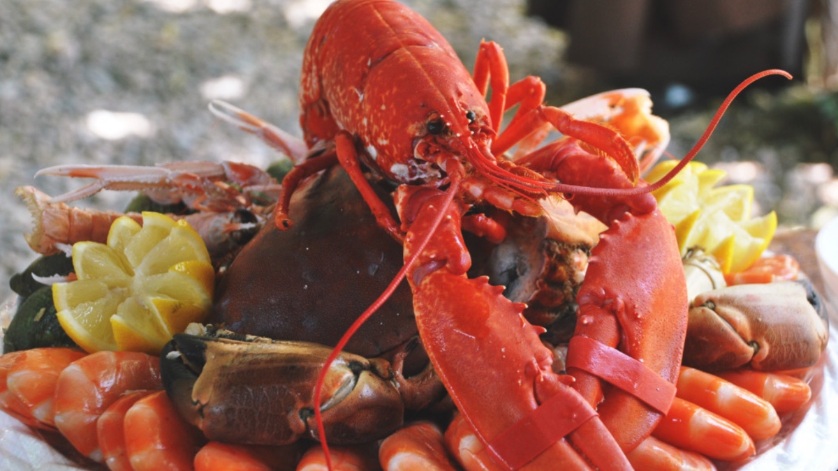 l8217aragosta sa di terra si lamentano del piatto rifiutano lo sconto e lasciano il ristorante senza pagare il conto da Ilfattoquotidiano.it l8217aragosta sa di terra si lamentano del piatto rifiutano lo sconto e lasciano il ristorante senza pagare il conto