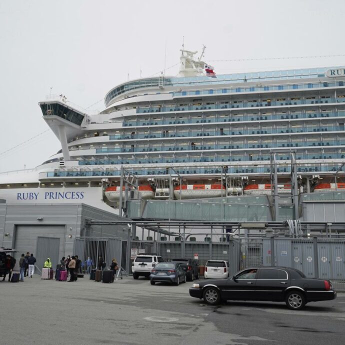 Vomito improvviso, forti dolori addominali e diarrea: scoppia epidemia di norovirus sulla nave da crociera Ruby Princess, almeno 125 casi tra passeggeri ed equipaggio