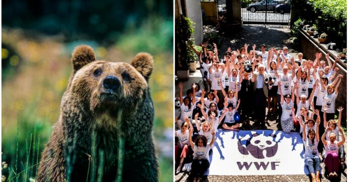 “La sfida del WWF oggi è il clima. Ma sulla tutela della natura stiamo facendo passi indietro. Il ddl caccia? Allucinante”