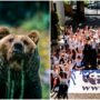 Copertina di “La sfida del WWF oggi è il clima. Ma sulla tutela della natura stiamo facendo passi indietro. Il ddl caccia? Allucinante”