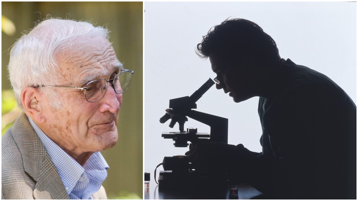 addio a stanley michael gartler il genetista che rivoluzion242 la ricerca sul cancro e smascher242 il caso delle cellule hela contaminate da Ilfattoquotidiano.it addio a stanley michael gartler il genetista che rivoluzion242 la ricerca sul cancro e smascher242 il caso delle cellule hela contaminate