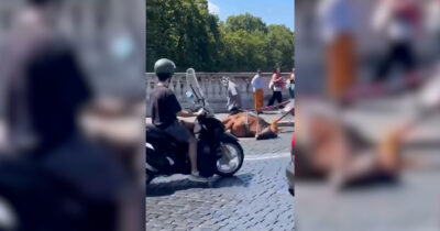 Copertina di Cavallo stramazza a terra a Roma: “È scivolato”. Polemica sulle botticelle per i turisti: “Segno di inciviltà” – Video