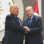 Copertina di Nato, Trump attacca gli alleati. Meloni (in ritardo) al tavolo vip