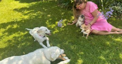Copertina di Trovati legati a una catena e senza un riparo, Romina Power adotta due cuccioli: sono Romeo e Giulietta