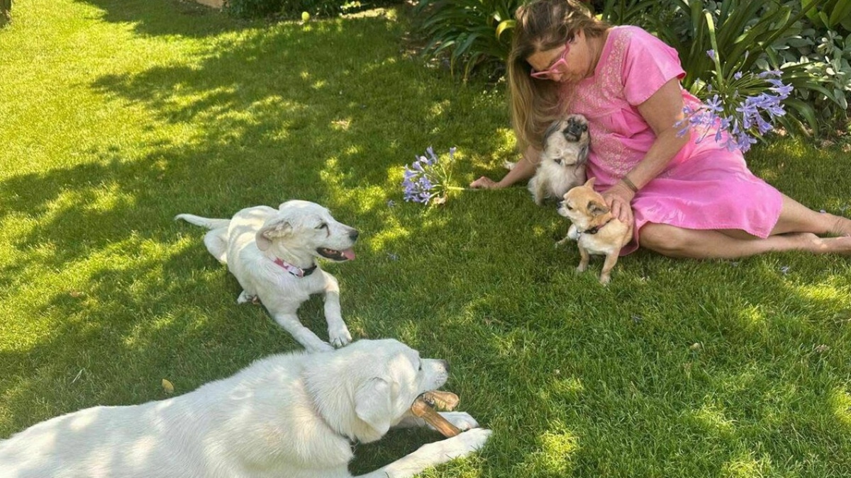 trovati legati a una catena e senza un riparo romina power adotta due cuccioli sono romeo e giulietta da Ilfattoquotidiano.it trovati legati a una catena e senza un riparo romina power adotta due cuccioli sono romeo e giulietta