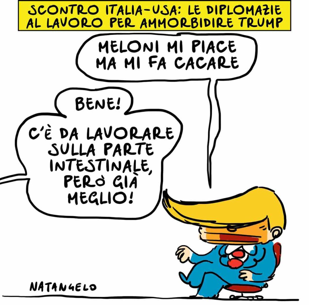 La vignetta di Natangelo