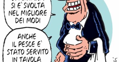 Copertina di La vignetta di Franzaroli