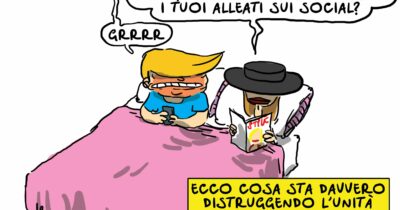 Copertina di La vera ragione del declino