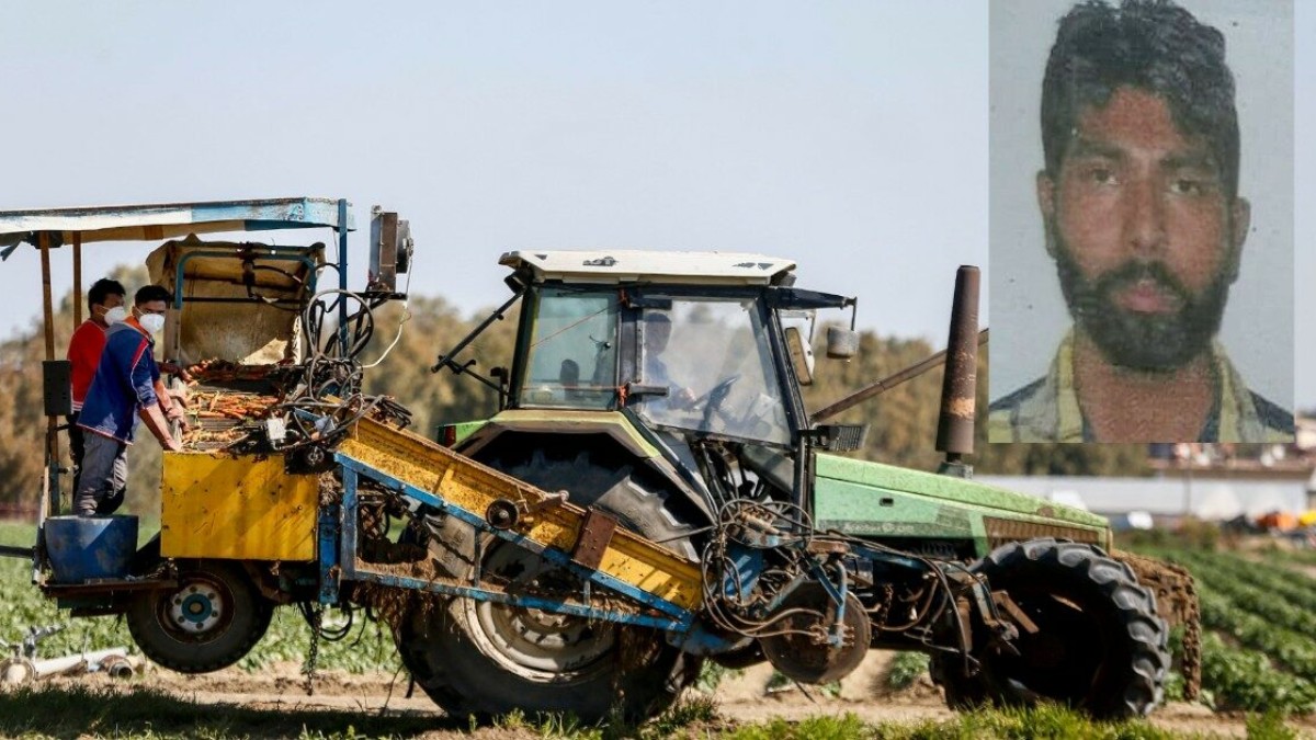 morte di satnam singh il datore di lavoro condannato a 16 anni per omicidio volontario con dolo eventuale da Ilfattoquotidiano.it morte di satnam singh il datore di lavoro condannato a 16 anni per omicidio volontario con dolo eventuale