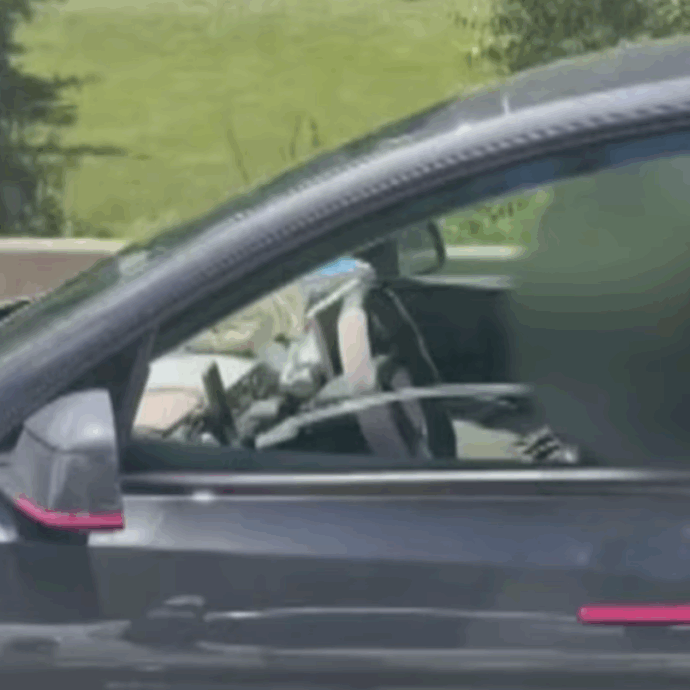Tesla lanciata a 100 all’ora in autostrada mentre la donna al volante dorme con accanto due bambini: il video choc riaccende il caso Autopilot