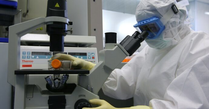 Parkinson, i neuroni ottenuti da staminali superano la prova della sicurezza. Gli studi con strategie differenti