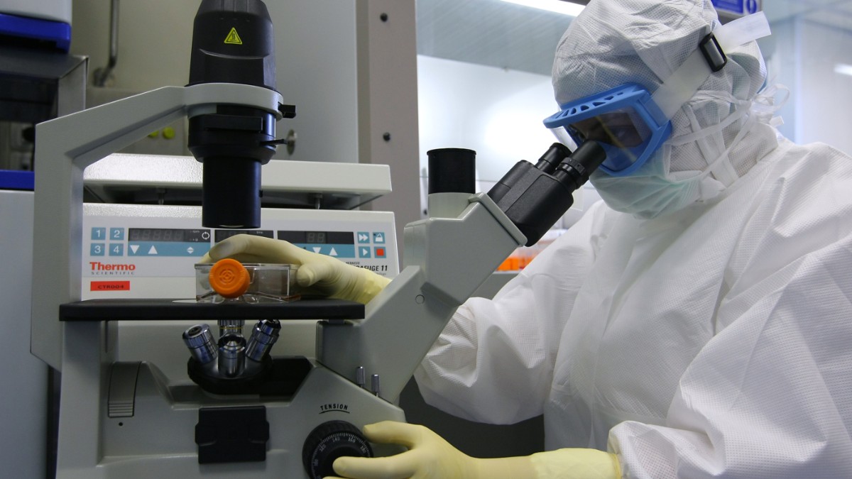 parkinson i neuroni ottenuti da staminali superano la prova della sicurezza gli studi con strategie differenti da Ilfattoquotidiano.it parkinson i neuroni ottenuti da staminali superano la prova della sicurezza gli studi con strategie differenti