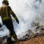 Copertina di Almeno 12 morti in un incendio nei boschi dell’Andalusia: vittime intrappolate nelle auto mentre cercavano di scappare