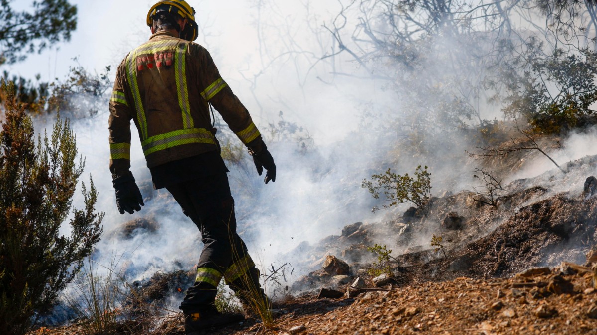 almeno 12 morti in un incendio nei boschi dell8217andalusia vittime intrappolate nelle auto mentre cercavano di scappare da Ilfattoquotidiano.it almeno 12 morti in un incendio nei boschi dell8217andalusia vittime intrappolate nelle auto mentre cercavano di scappare