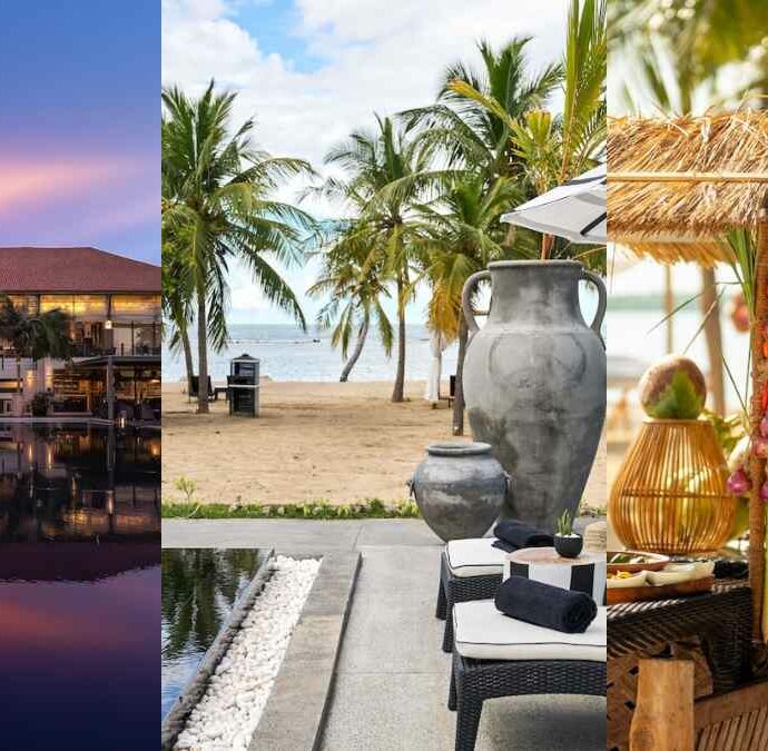 Perché tutti parlano dello Sri Lanka: la guida al viaggio tra mare, templi, piantagioni e safari nella natura dell’ottava meraviglia del mondo moderno