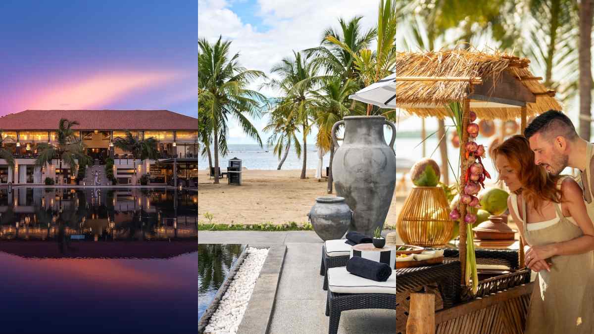 Perché tutti parlano dello Sri Lanka: la guida al viaggio tra mare, templi, piantagioni e safari nella natura dell’ottava meraviglia del mondo moderno