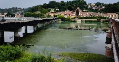 Copertina di Caldo estremo, il Po a Torino è invaso da alghe e piante acquatiche invasive: la rimozione non è servita – Video
