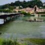 Copertina di Il Po a Torino è invaso da alghe e piante acquatiche invasive: la rimozione non è servita – Video