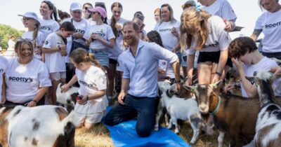 Copertina di “Senti la capra dentro di te”: il principe Harry partecipa a una sessione di yoga con le caprette ma una gli salta addosso. I tabloid: “Proteggi i gioielli della Corona”