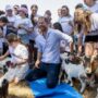 Copertina di Harry fa una sessione di yoga con le caprette ma una salta sopra "i gioielli della Corona" 