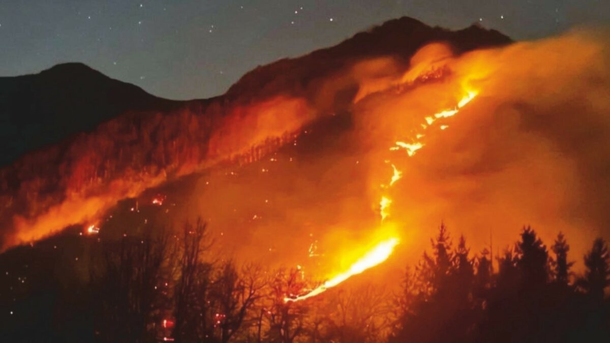in italia risposta agli incendi interventistica ma servono prevenzione e gestione del territorio in caso di rogo no a fughe senza istruzioni parla l8217esperto da Ilfattoquotidiano.it in italia risposta agli incendi interventistica ma servono prevenzione e gestione del territorio in caso di rogo no a fughe senza istruzioni parla l8217esperto