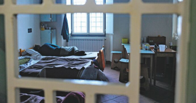 “Celle invase da cimici, serve disinfestazione”
