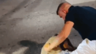 Copertina di Il militante di Vannacci picchia un uomo e posta il video sui social: “Io tranquillo, ma bloccava il traffico senza motivo”
