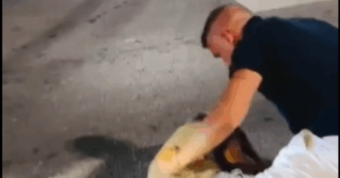 Il militante di Vannacci picchia un uomo e posta il video sui social: “Io tranquillo, ma bloccava il traffico senza motivo”