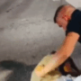 Copertina di Il militante di Vannacci picchia un uomo e posta il video sui social: “Io tranquillo, ma bloccava il traffico senza motivo”